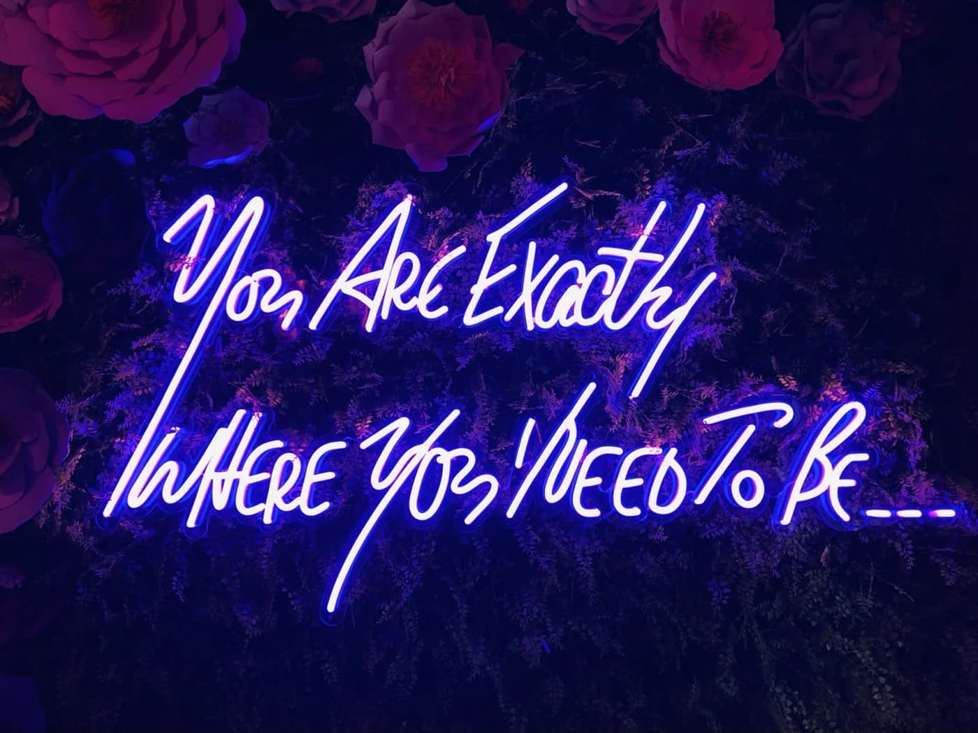 Exactly where you need to be.